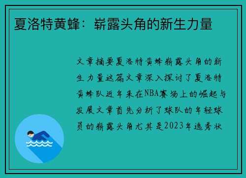 夏洛特黄蜂：崭露头角的新生力量