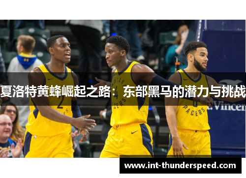 夏洛特黄蜂崛起之路：东部黑马的潜力与挑战