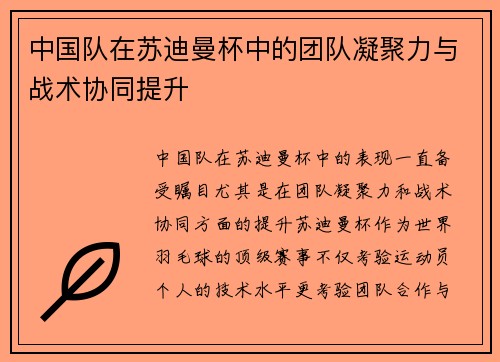 中国队在苏迪曼杯中的团队凝聚力与战术协同提升