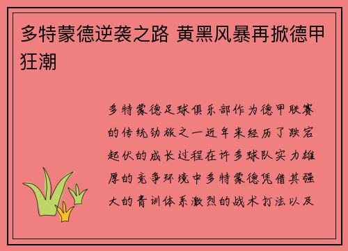 多特蒙德逆袭之路 黄黑风暴再掀德甲狂潮