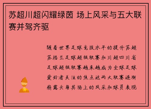 苏超川超闪耀绿茵 场上风采与五大联赛并驾齐驱